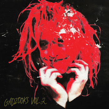 Vinyl Gadzooks Vol. 2   Red Book