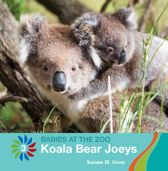 Library Binding Koala Bear Joeys Book