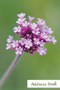Address Book.: (Flower Edition Vol. C78) Glossy And Soft Cover, Large Print, Font, 6" x 9" For Contacts, Addresses, Phone Numbers, Em