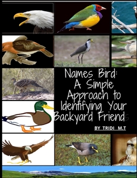 Paperback Names Bird: A Simple Approach to Identifying Your Backyard Friend Book