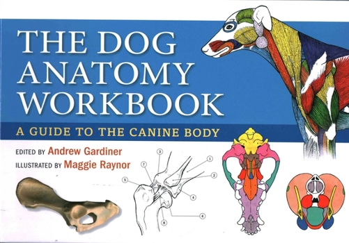 Hardcover The Dog Anatomy Workbook: A Learning Aid for Students Book