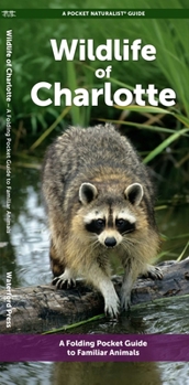 Charlotte Wildlife: A Folding Pocket Guide to Familiar Animals