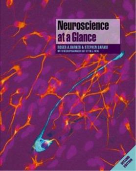 Paperback Neuroscience at a Glance Book