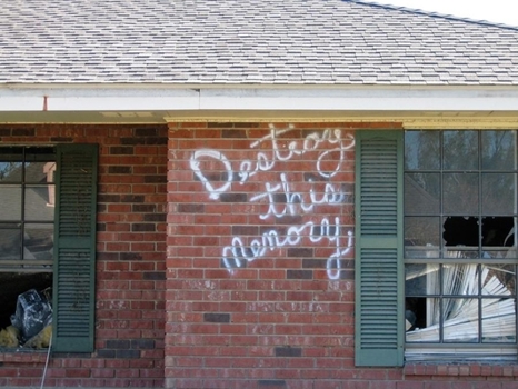 Hardcover Richard Misrach: Destroy This Memory Book