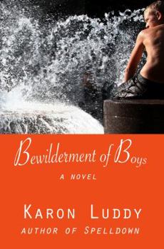 Paperback Bewilderment of Boys Book