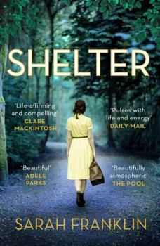 Paperback Shelter: `One of the year's hottest debuts' Book