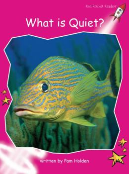 What Is Quiet?: Emergent - Book  of the Red Rocket Readers