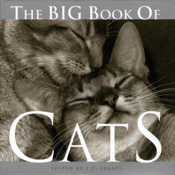 Hardcover The Big Book of Cats Book