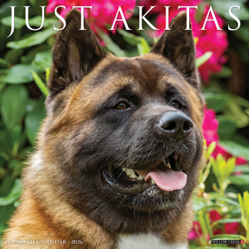 Calendar Akitas 2026 12 X 12 Wall Calendar Book