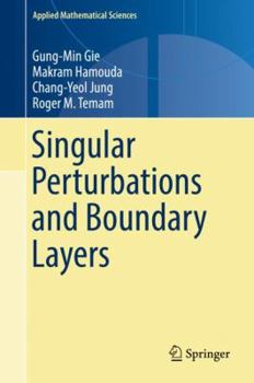 Hardcover Singular Perturbations and Boundary Layers Book