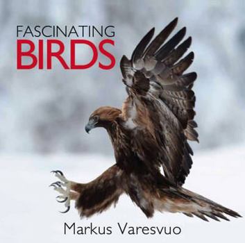 Hardcover Fascinating Birds Book