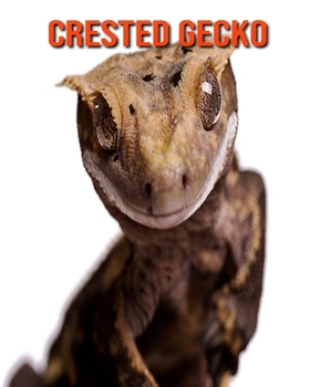 Paperback Crested Gecko: Beautiful Pictures & Interesting Facts Children Book About Crested Gecko Book