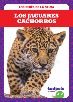 Paperback Los Jaguares Cachorros (Jaguar Cubs) Book