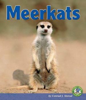 Library Binding Meerkats Book