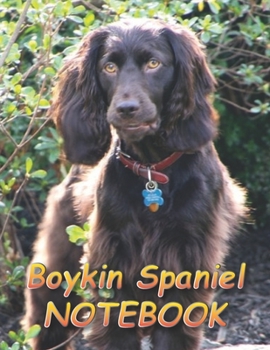 Boykin Spaniel NOTEBOOK: Notebooks and Journals 110 pages (8.5"x11")