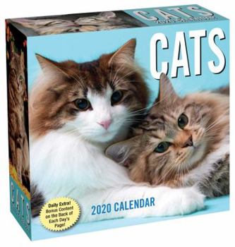 Calendar Cats 2020 Day-To-Day Calendar Book