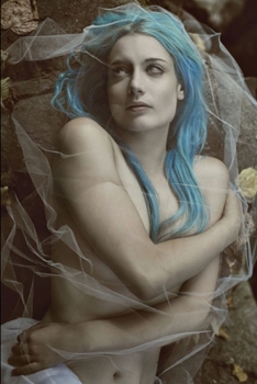 Paperback Salem's Killer: A collection of Thrillers Book