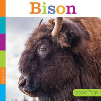 Library Binding Bison Book