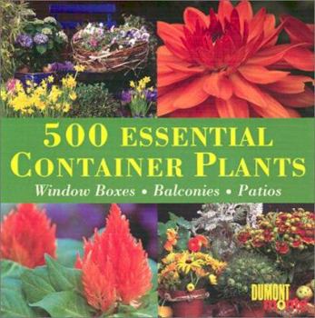 Hardcover 500 Essential Container Plants: Window Boxes, Balconies and Patios Book