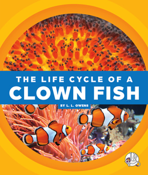 Library Binding The Life Cycle of a Clown Fish Book