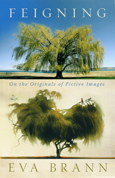 Paperback Feigning: On the Originals of Fictive Images Book