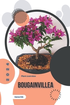 Bougainvillea: Simply beginners guide