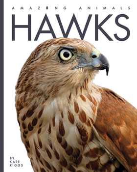 Paperback Hawks Book