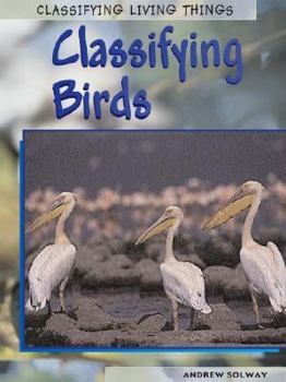 Hardcover Classifying Birds Book