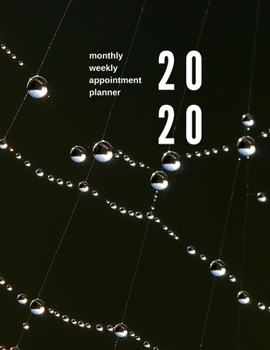 2020 Monthly Weekly Appointment Planner: Minimal Black Planner with Pages for Notes, Goals, To-Do Lists