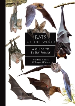 Hardcover Bats of the World: A Guide to Every Family Book