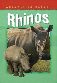 Paperback Rhinos Book