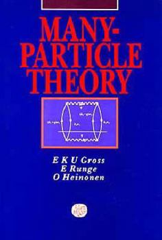 Hardcover Many-Particle Theory, Book