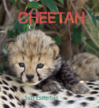 Hardcover Cheetah Book