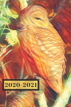 Brown and Cream Barn Owl Wildlife Bird Lover's  Dated Weekly  2 year Calendar Planner: Cute Small Pocket/Purse Size To-Do Lists,Tasks, Notes, ... - Dec 2021, 25 months Weekly Planner Book)