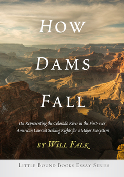 Paperback How Dams Fall Book