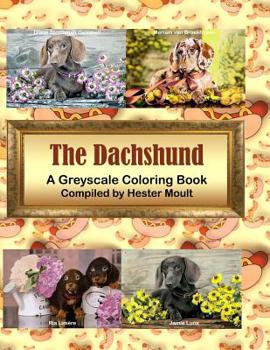 Paperback The Dachshund: A Greyscale Coloring Book