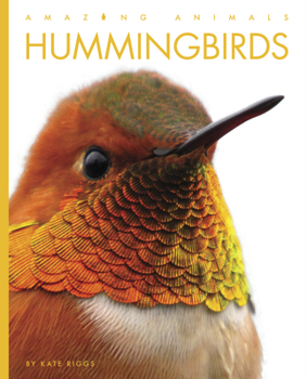 Hummingbirds - Book  of the Amazing Animals