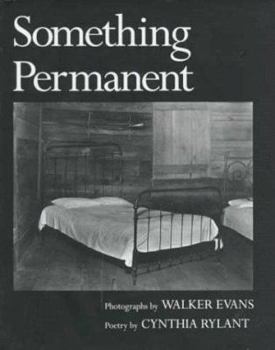 Hardcover Something Permanent Book