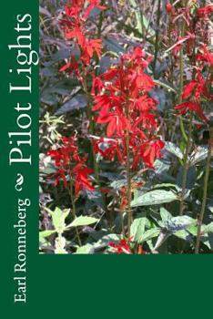 Paperback Pilot Lights Book