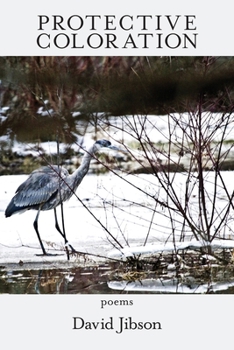 Paperback Protective Coloration Book