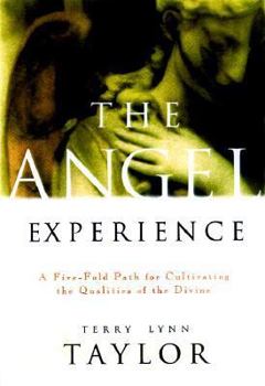 Paperback The Angel Experience Book