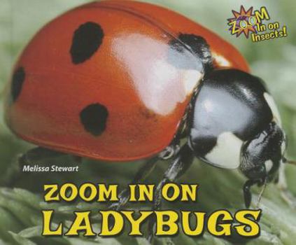 Library Binding Zoom in on Ladybugs Book