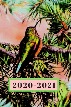 Little Green Hummingbird in a Pine Tree Dated Calendar Planner  2 years To-Do Lists,Tasks, Notes  Appointments: Cute Small Pocket/Purse Size ... - Dec 2021, 25 months Weekly Planner Book)