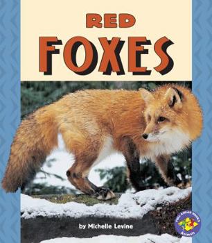 Paperback Red Foxes Book