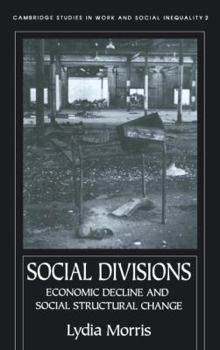 Paperback Social Divisions Book