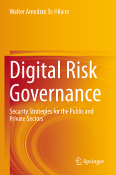 Digital Risk Governance: Security Strategies for the Public and Private Sectors