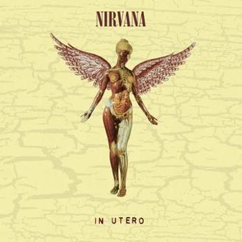 Vinyl In Utero (30th Anniversary LP/10 Inch) Book