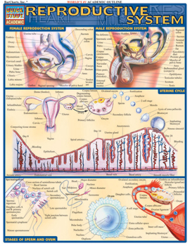 Cards Reproductive System Book