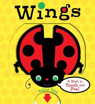 Board book Wings: A Book to Touch and Feel Book