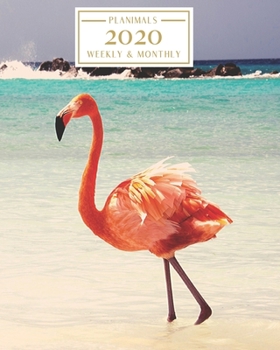 2020: Weekly and Monthly Planner/Calendar Jan 2020 – Dec 2020 Flamingo
